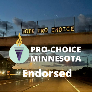 No Chad Pro_Choice Endorsement (300 × 300 px)